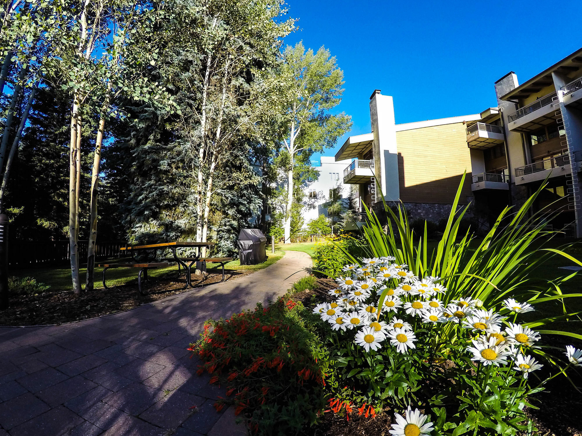 Lodge At Lionshead เวล ภายนอก รูปภาพ